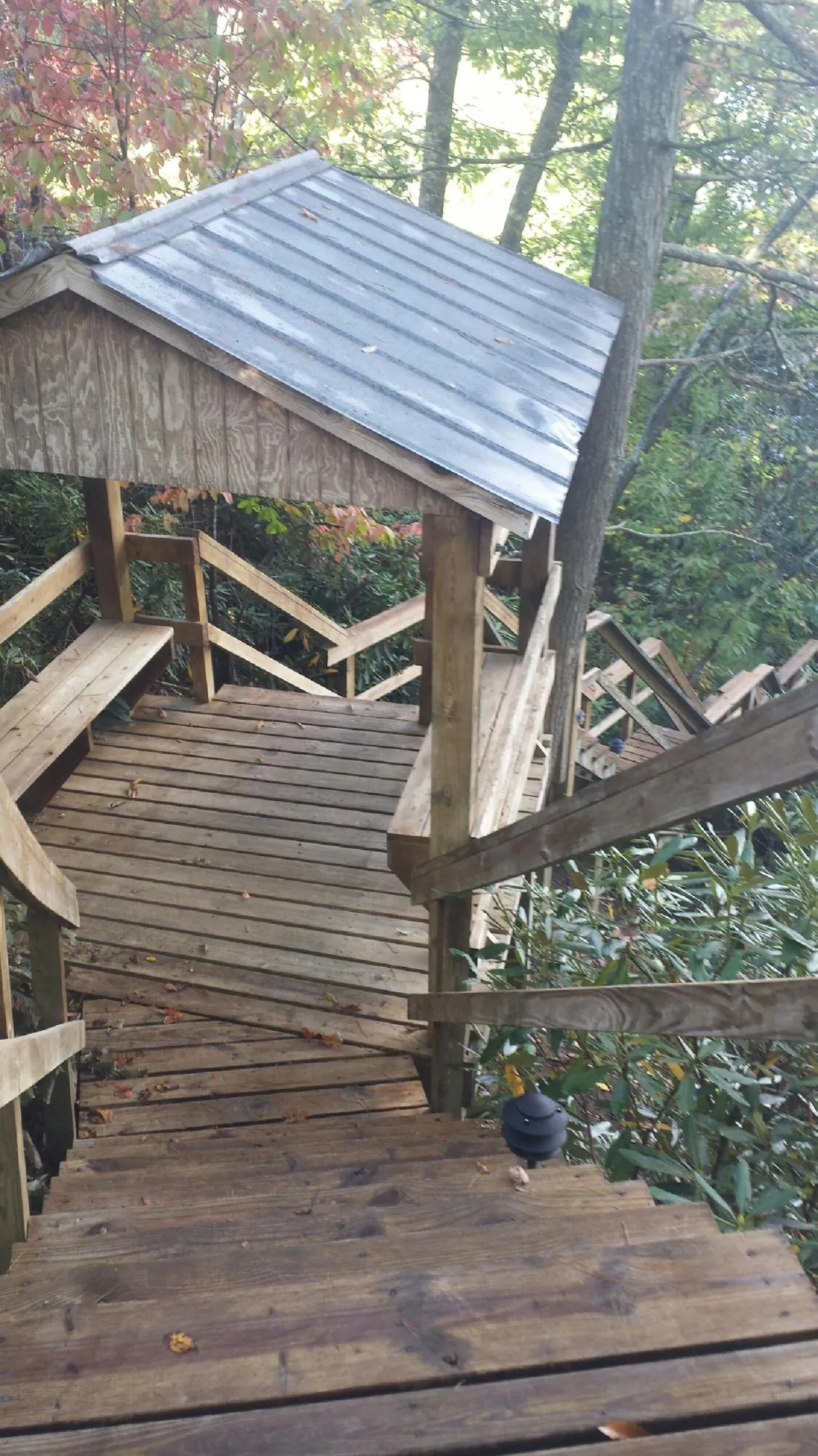 Metal roofed shelter over wooden steps on a wooded walkway — Skylight Repair & Installation work by our crew in Blaine
